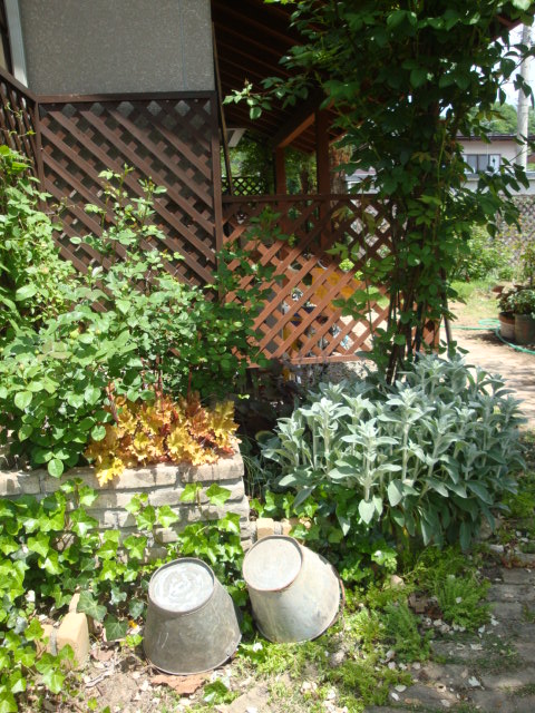 e0175905_12483788.jpg