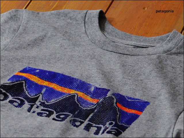 patagonia [パタゴニア正規代理店] Men\'s Woven Label Logo T-Shirt [59824] _f0051306_18394161.jpg