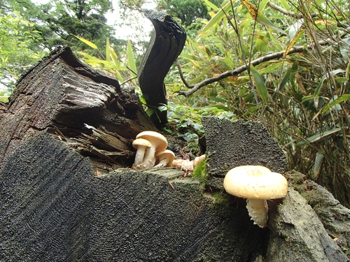 e0314407_2144830.jpg