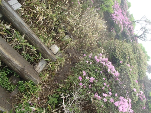 e0314407_2161667.jpg