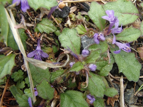 e0314407_2172769.jpg