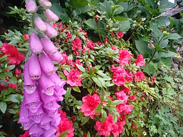 f0231709_08620.jpg