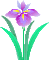 f0231709_15562436.gif