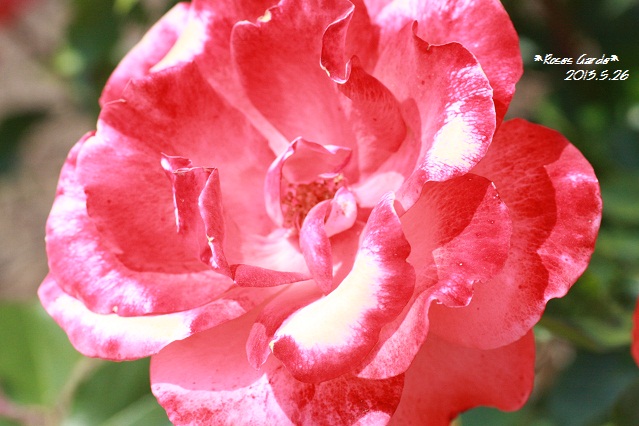 c0040514_14485360.jpg