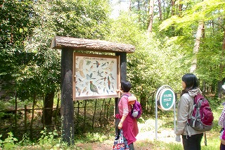 2013年5月 八ケ岳ヒーリングツアー最終回_c0200917_1483898.jpg