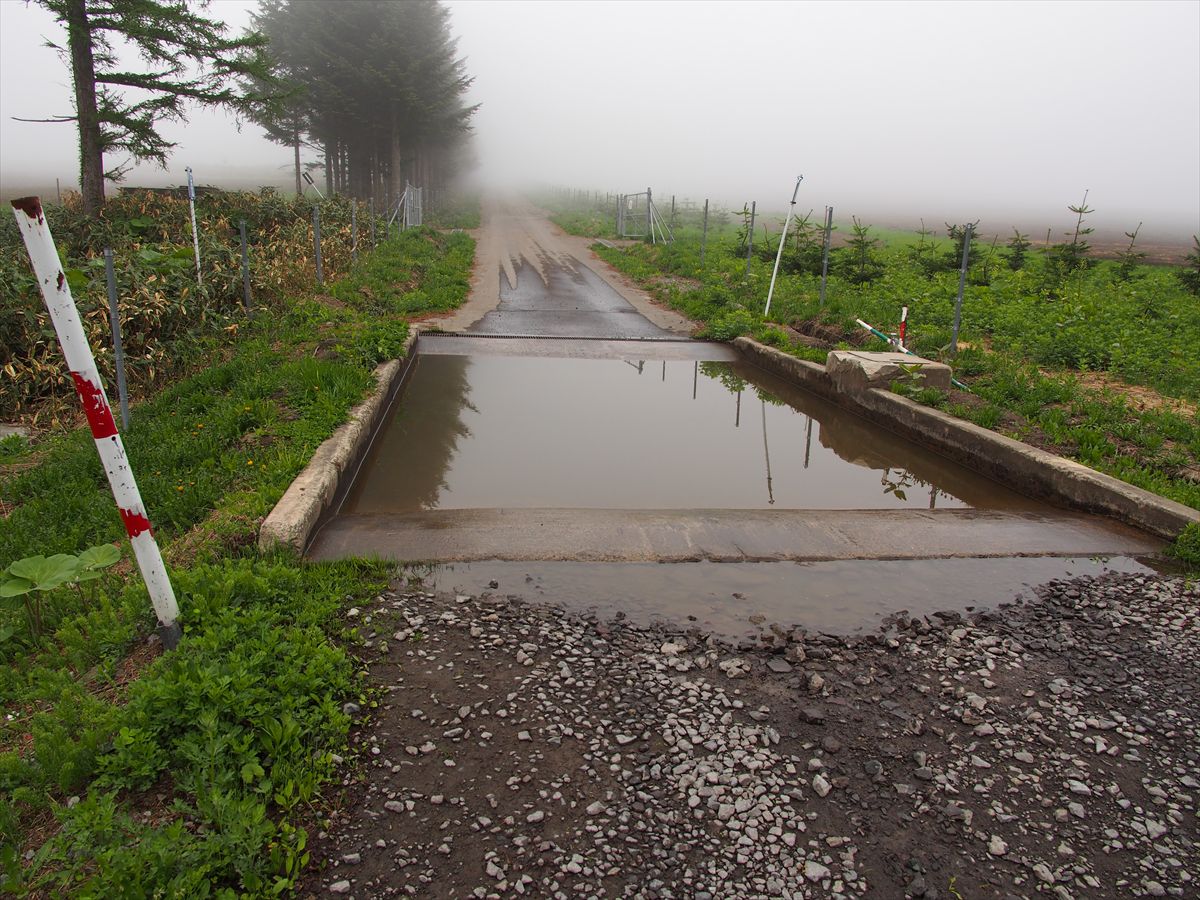 【羊蹄山の展望台】 尻別岳 2013.6.2_a0145819_13314566.jpg