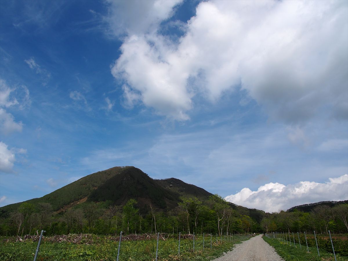 【羊蹄山の展望台】 尻別岳 2013.6.2_a0145819_161651100.jpg