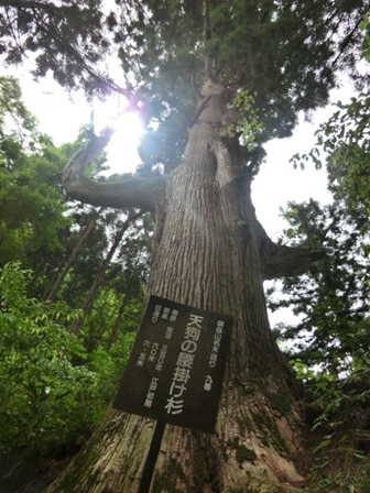 陣馬山・御岳山　登山・2013_f0186021_6145442.jpg