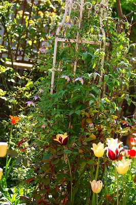 f0170524_10234413.jpg