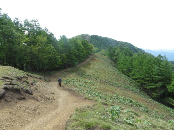 f0040525_2057254.jpg