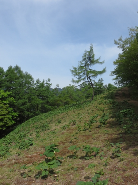 f0040525_20581734.jpg