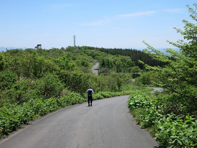 ２０１３．６．１折爪岳_f0003138_1663739.jpg