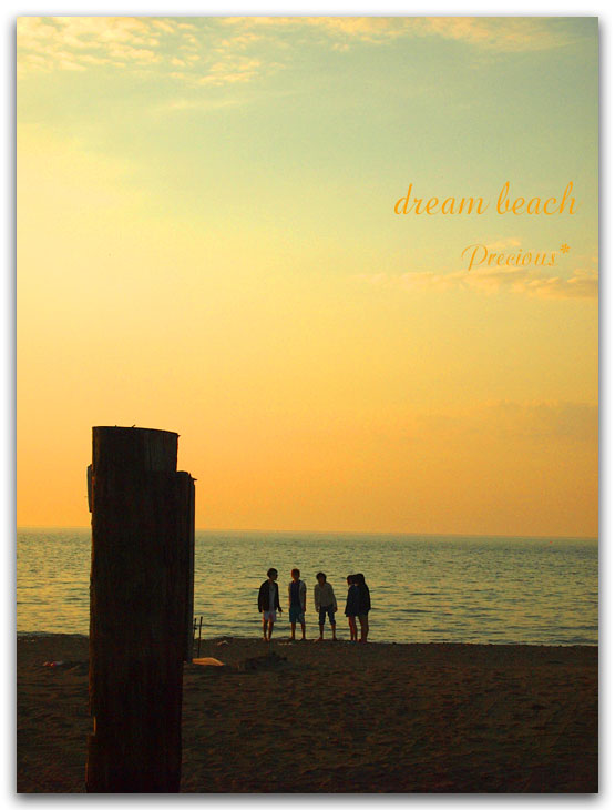 dream beach。_c0101341_18283553.jpg