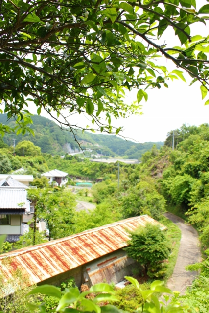 a0280142_1614836.jpg