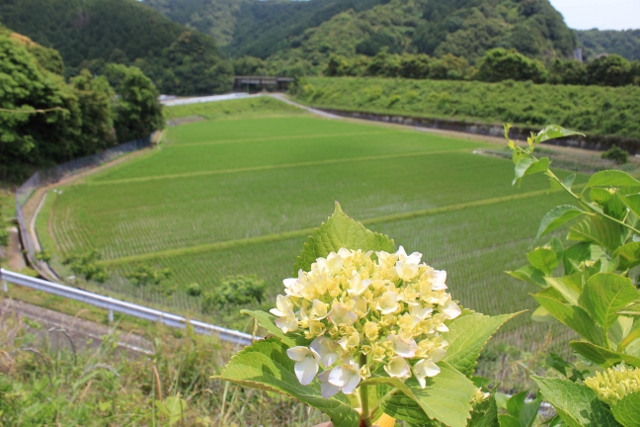a0280142_163823100.jpg