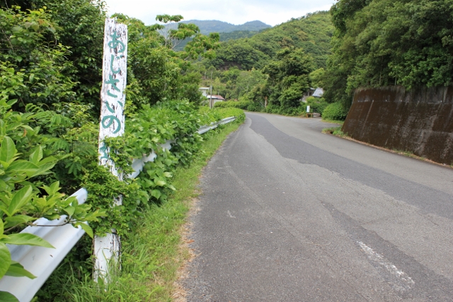 a0280142_1727360.jpg