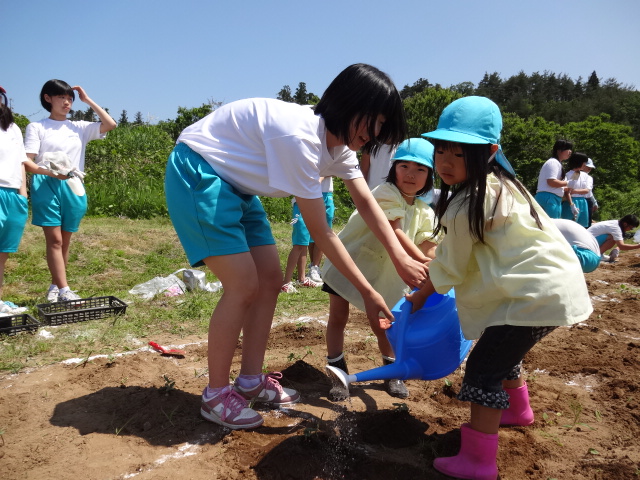 西山中学校に、ひまわりの苗植え_d0166047_19593131.jpg