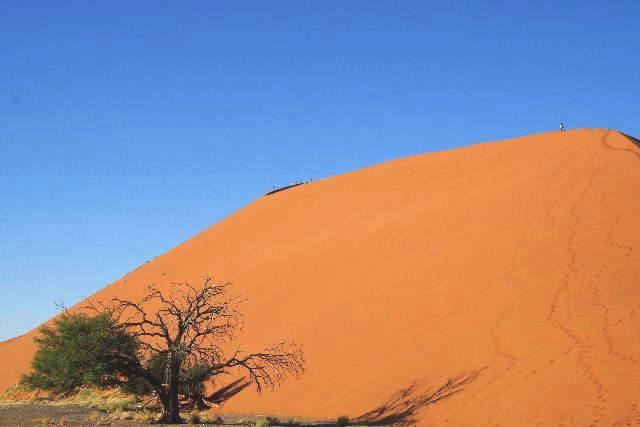 ナミビアの旅（８）　デューン４５   Dune４５_c0011649_1248095.jpg
