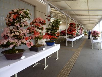 b0220251_65784.jpg