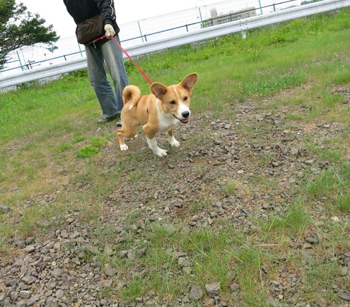 お子さんの相手は苦手です_c0260460_14798.jpg