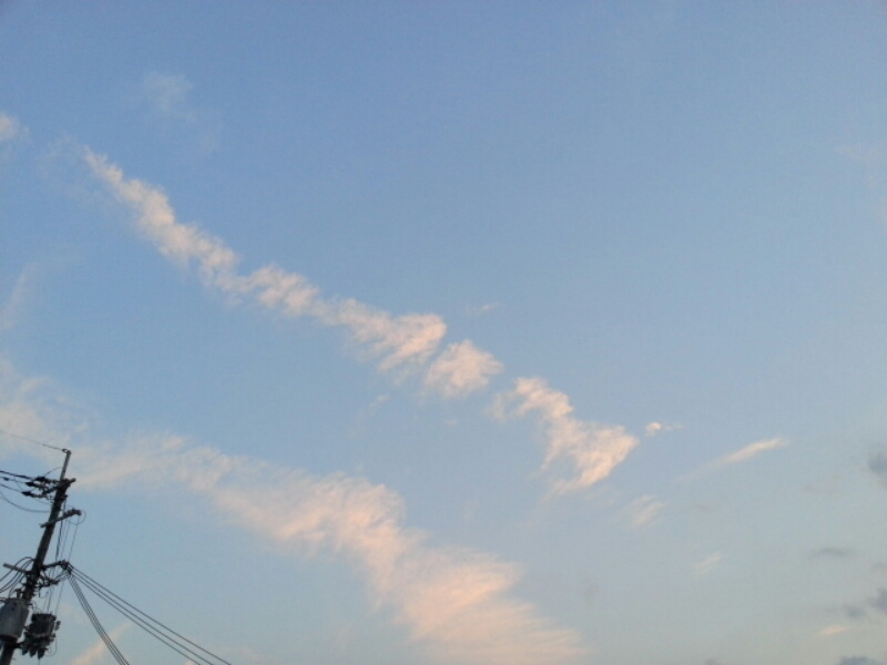 c0220065_216840.jpg