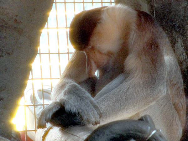 燃えたよ 燃え尽きた 真っ白にな ネットのしじま いたざわ しじま公式blog