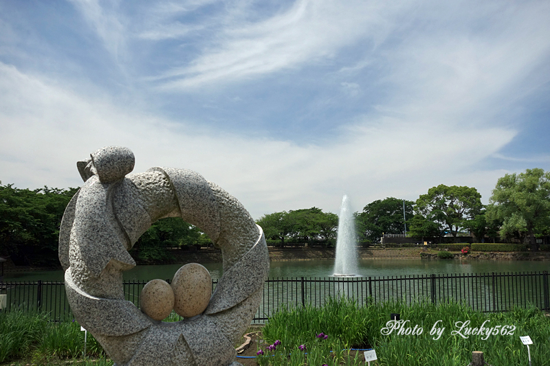 e0002371_8223617.jpg