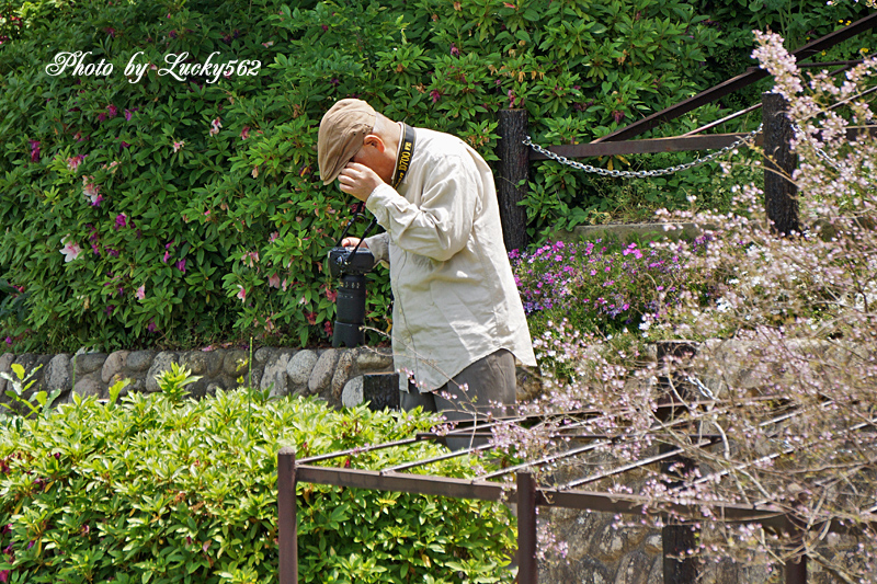 五月晴れ（誤用）_e0002371_8272726.jpg