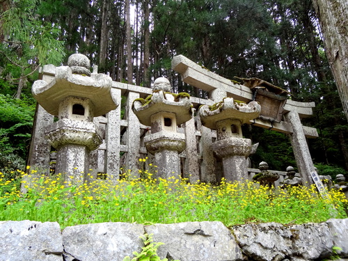 b0165872_2214080.jpg