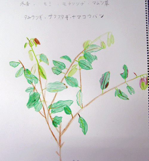 e0317274_20302859.gif