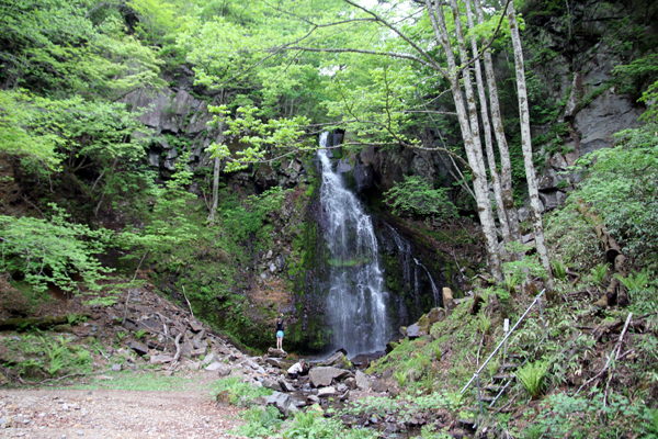 八岳の滝_f0145483_13195282.jpg