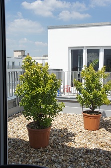 a0190987_2012136.jpg