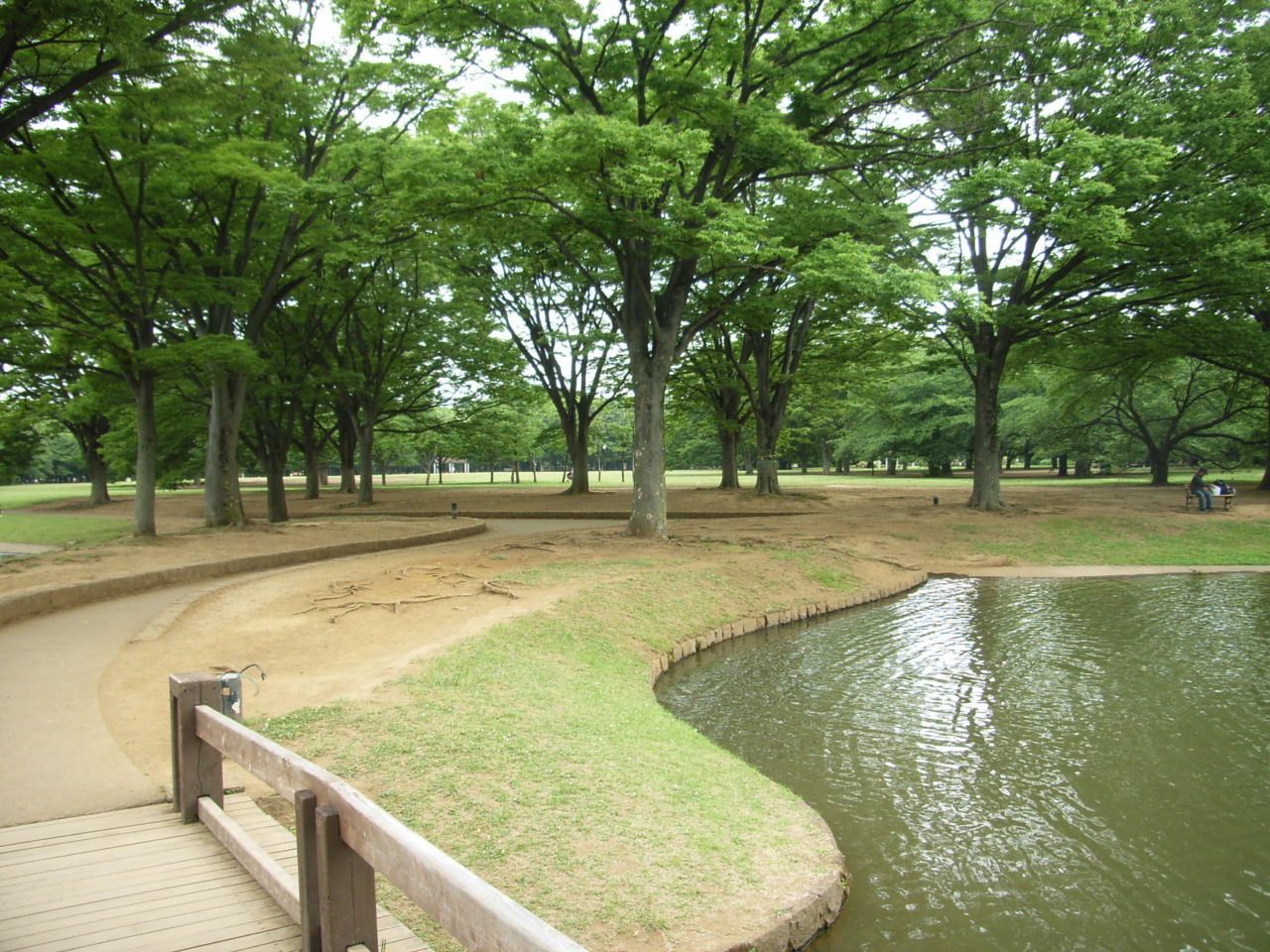 6月3日　代々木公園_e0188287_7565330.jpg