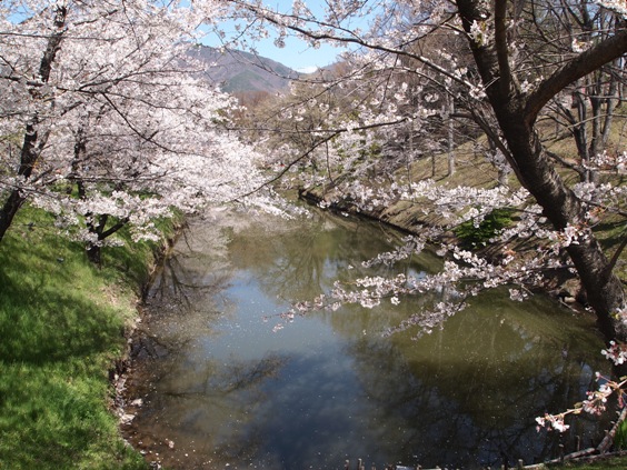 日本里帰り13 長野・上田城と上山田温泉_c0132488_3135832.jpg