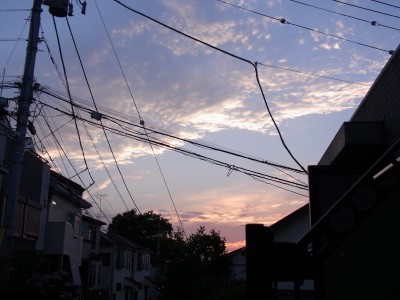 a0158790_203669.jpg