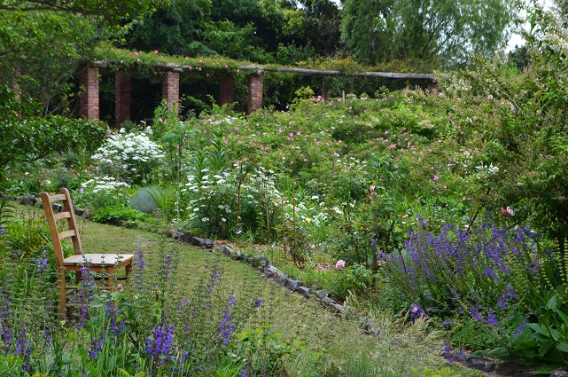 d0099791_22112624.jpg