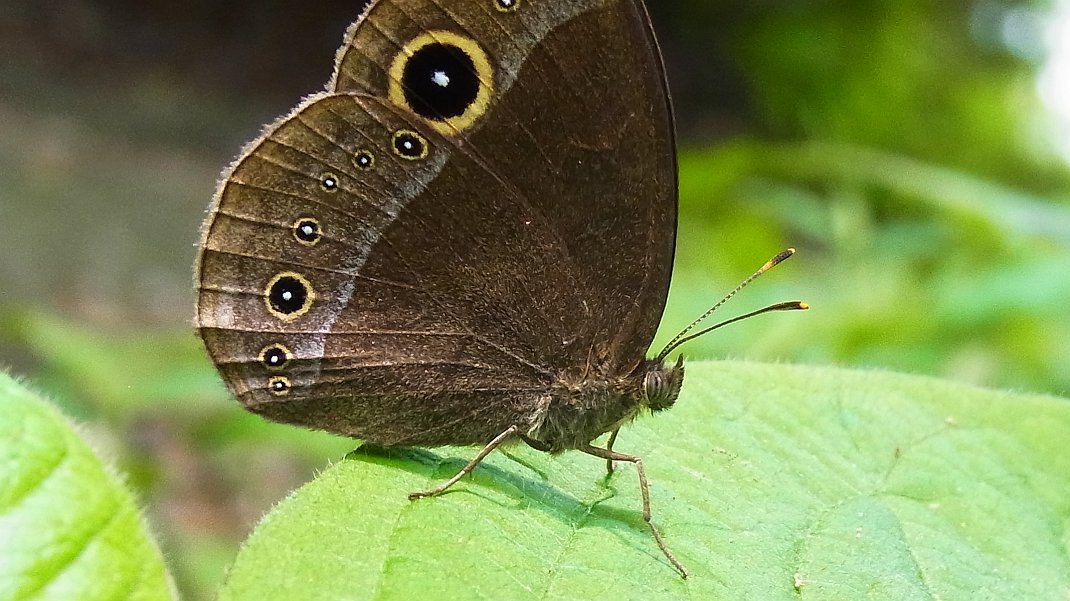 a0152692_21195189.jpg
