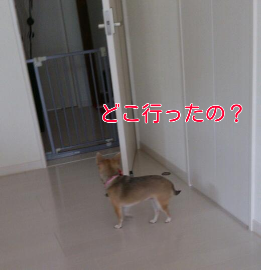 b0237894_8525439.png