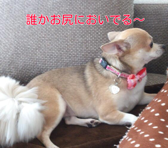 b0237894_8545057.png