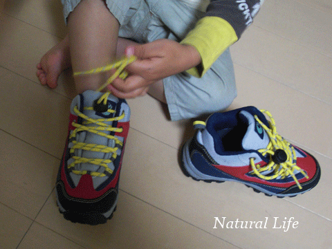 b0162000_1214198.gif