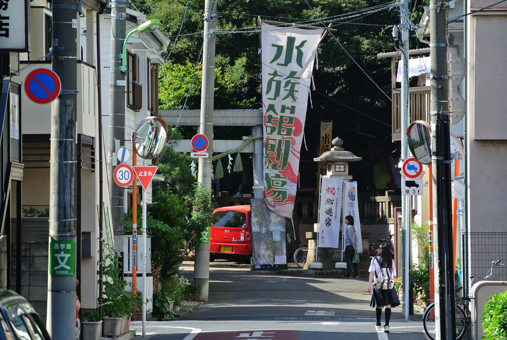 水族館劇場 2013_b0144301_534364.jpg