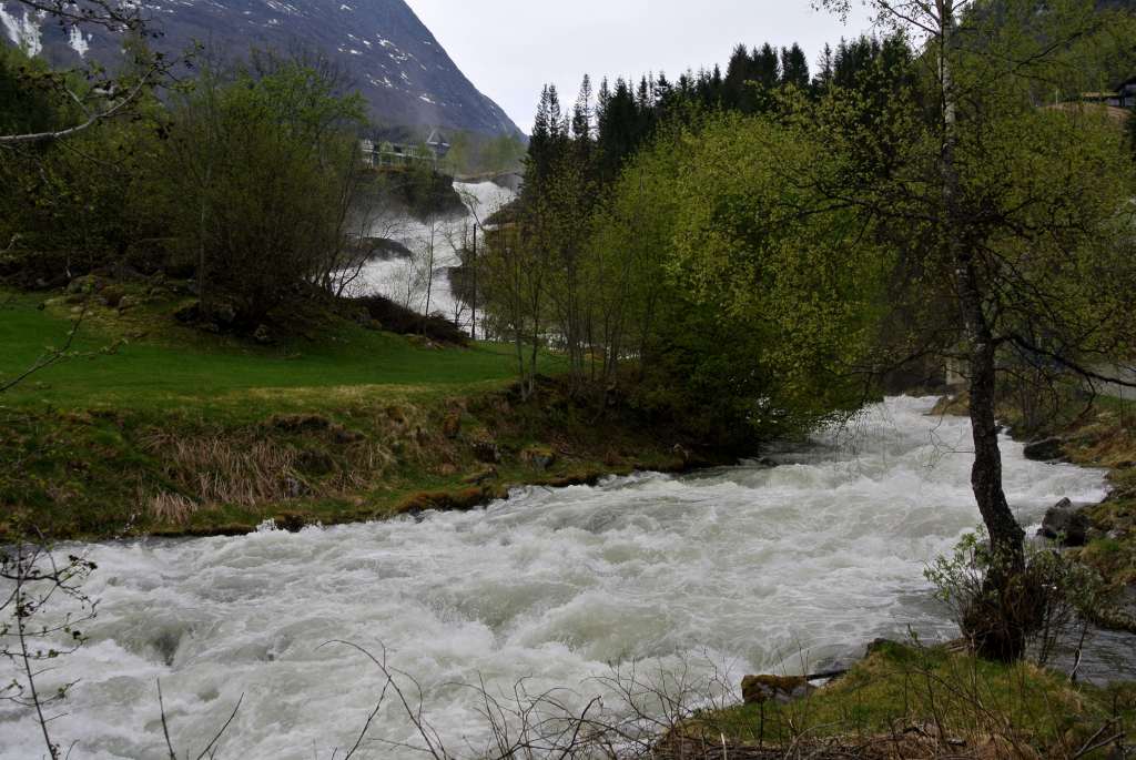 a0148206_2032978.jpg