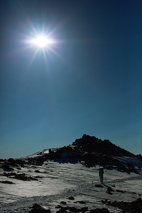 a0148606_1230116.jpg
