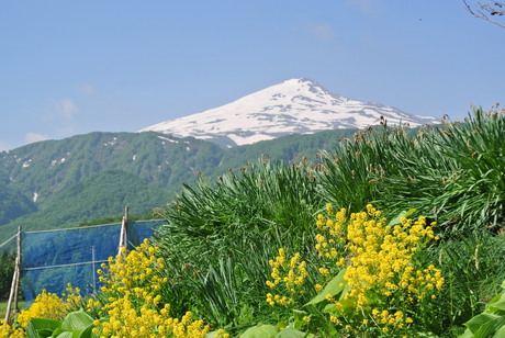 2013年5月31日残雪豊富な鳥海山祓川口コースで春スキーを楽しむ_c0242406_14243038.jpg