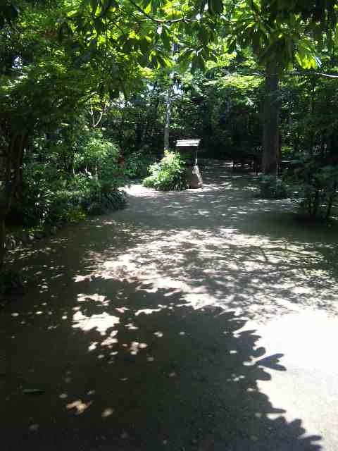 a0212807_20441645.jpg