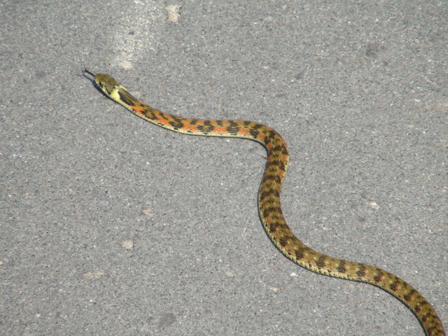 f0231709_16584548.jpg