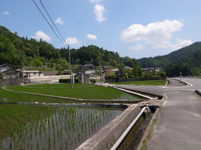 ウォーキング　６月3日_c0116915_0364816.jpg