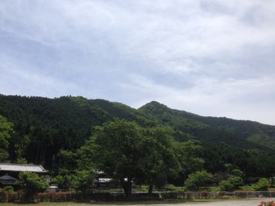 d0163620_1159148.jpg