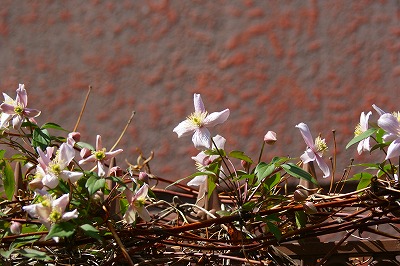 f0170524_18325118.jpg
