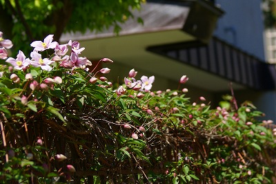 f0170524_1832961.jpg